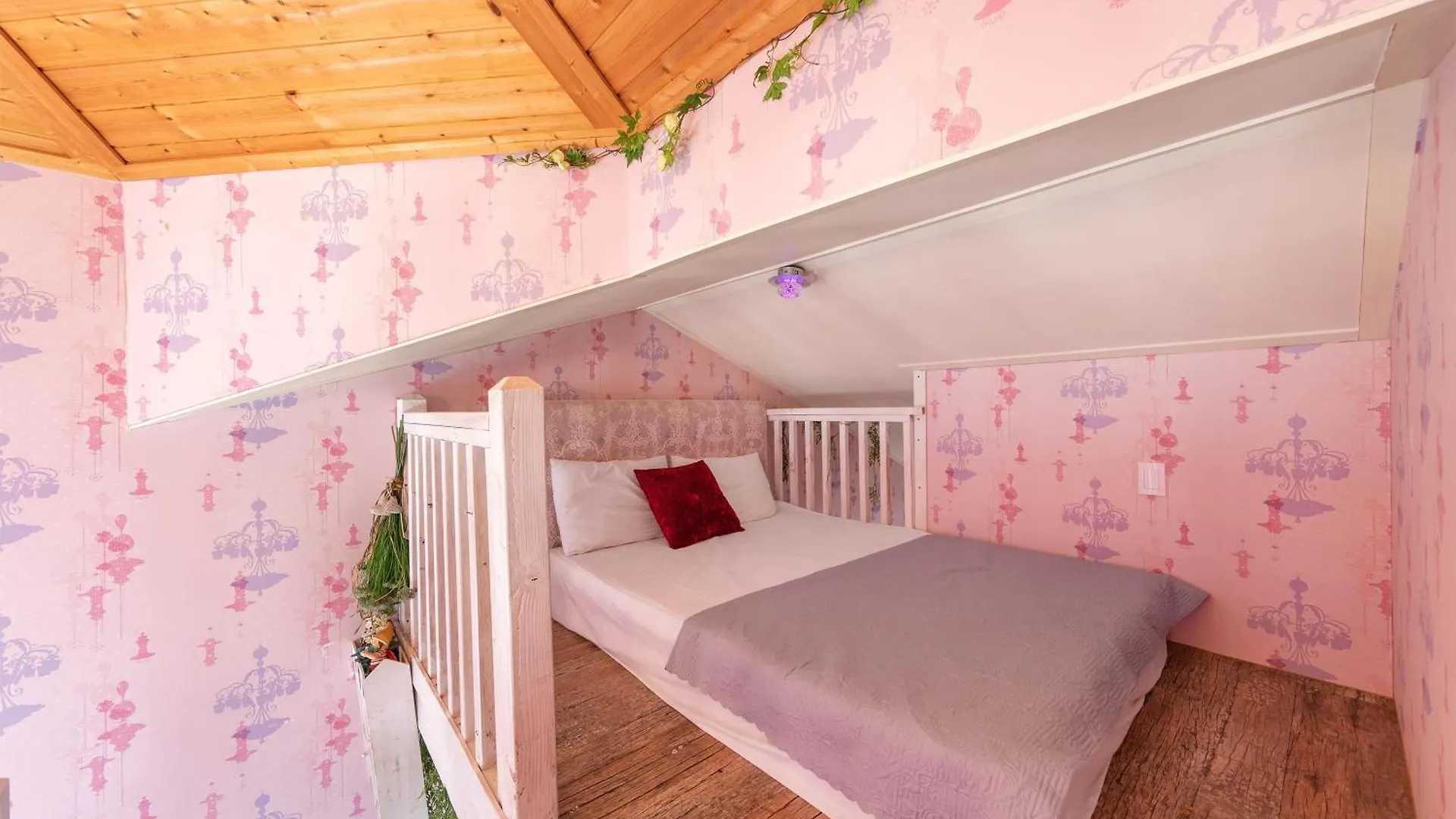 강화 콘체르트펜션 애견 전용풀 운영 인천 대한민국